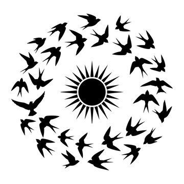Black silhouette of many birds flying in a circle around a bright sun icon isolated on transparent background, Vector