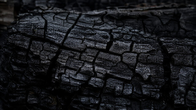Black burnt wood texture, dark charcoal timber surface background