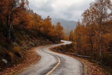Obraz premium wet winding road through orange autumn birch forest with fallen leaves and misty hills, calm moody atmosphere