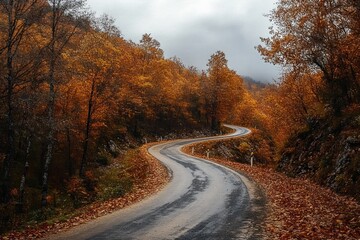 Fototapeta premium Winding wet road through orange autumn forest with fallen leaves and misty overcast sky, evoking a peaceful, melancholic mood