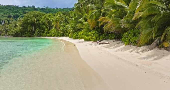 Torres Islands Teague beach featuring clear turquoise water gently lapping a pristine white sandy shore, bordered by lush green tropical palm trees, creating an idyllic and secluded island paradise