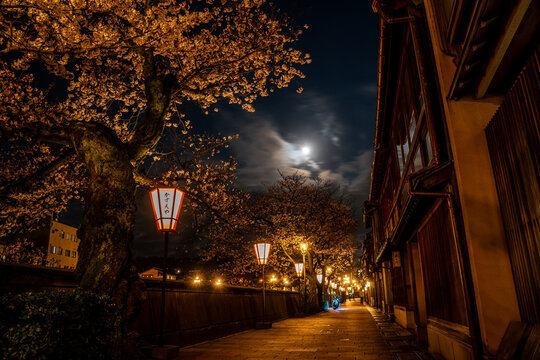 金沢・主計町茶屋街の夜桜と月