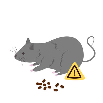 Hantavirus Rat Spreading Disease illustration 