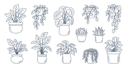 Collection of various potted house plants in a hand-drawn line art style. © art.Co