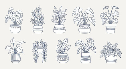 Collection of various potted houseplants in a minimalist line art style. © art.Co