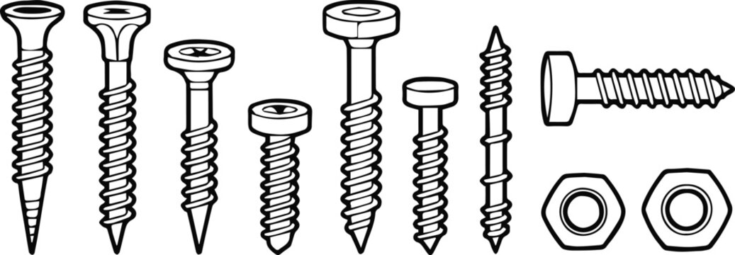 screw bolt nut washer lineup showing thread head and size differences