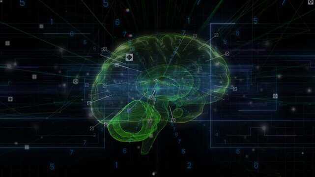 Digits converging holo brain rotating links pulsing to map neural data showing cerebellum brainstem