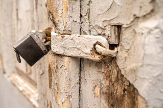 Old black rusty metal padlock attached to weathered peeling painted wooden door, abandoned security grunge detail concept.