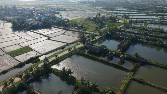Wide Hoian Rice Paddy Mosaic Late Afternoon, Flooded Fields Mirror Sky, Winding Road And Levees, Farmer Walking Embankment, Golden Sun Glinting On Water And Seasonal Harvest Mood