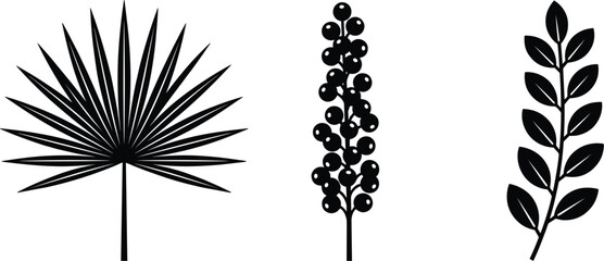 Minimalist black tropical plant silhouette vector set featuring a fan palm leaf berry stalk and botanical branch icons isolated on a white background © MDSaiful