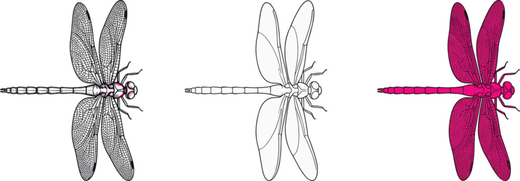 Detailed dragonfly vector illustration set featuring vintage stipple sketch outline linear drawing and vibrant pink silhouette designs isolated on a clean white background