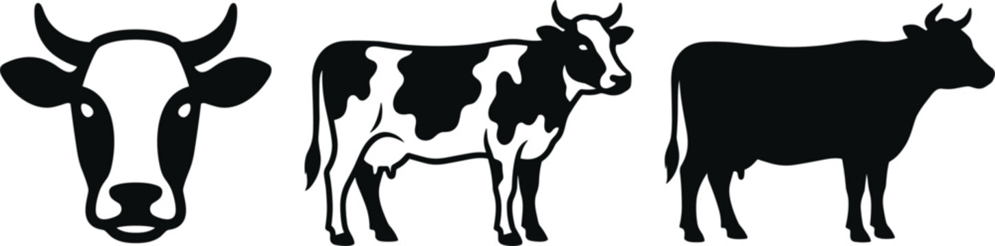 Black and white cow vector illustration set featuring a dairy cattle head icon alongside spotted and solid silhouette farm animals isolated on white background