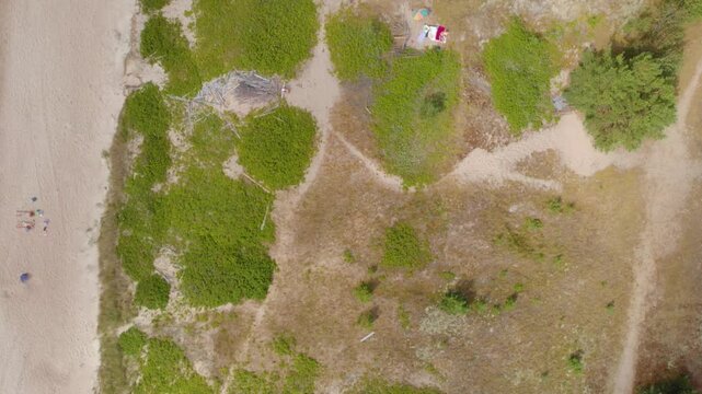 High angle, drone footage capturing a natural coastal landscape with a wide sandy beach adjacent to green grassy areas and dry, wild vegetation. A small dirt path is visible on the right side.