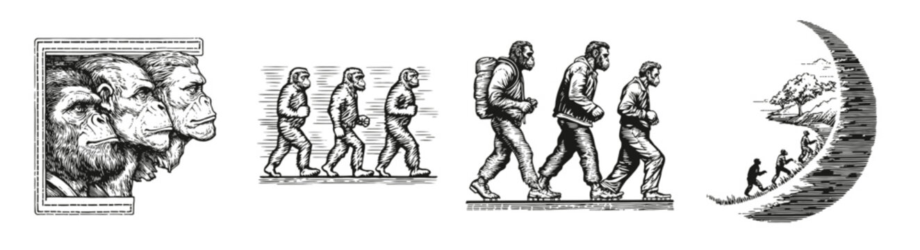 Evolution of Man from Primates to Modern Humans in Artistic Illustration, Logo Design, Hand drawing Engraving, Vector Illustration Isolated Object