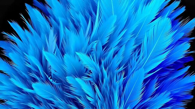 Digital red and purple gradient feather abstract background
