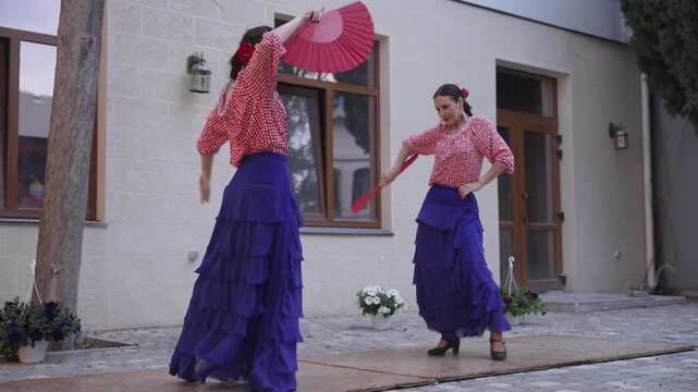 Flamenco dancer. Traditional Spanish flamenco dance performance
