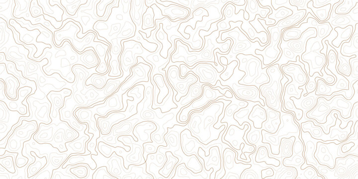 Brown topographic contour lines on white background for design and mapping purposes  abstract geogra