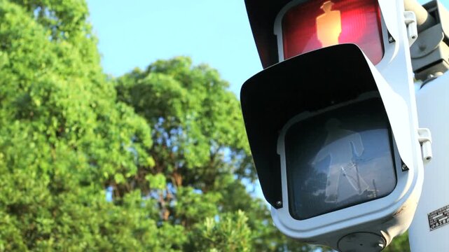 歩行者信号赤から青へ