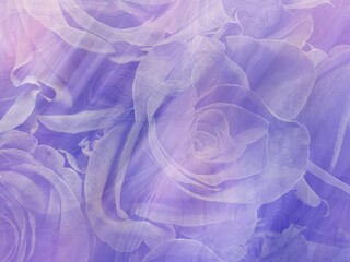 Abstract Soft Veiled Lilac-Pink Local Flower Market Roses with Liquified Human Made Motion Texture Art and Prismatic Light Leaks for Luxury Branding and Editorial Design © BC Studio