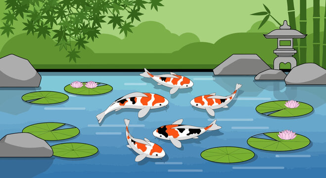 Colorful Koi Fish Swimming Together.