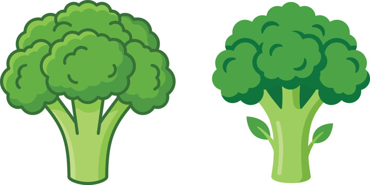 Two green broccoli illustrations with stems and leaves