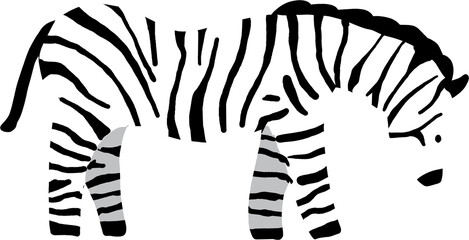 Cute zebra doodle, wild safari animal flat design illustration © susugyeongdan