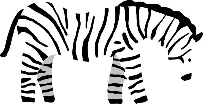 Cute zebra doodle, wild safari animal flat design illustration