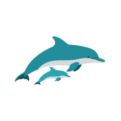 Fototapeta premium Dolphin mother and baby calf swimming together