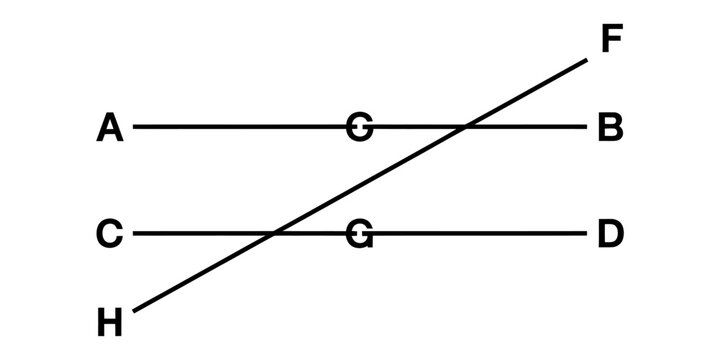 Geometric diagram showing two parallel lines intersected by a diagonal line with letter labels for educational math study Vector, illustration