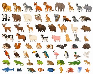 Obraz premium set of wild animals