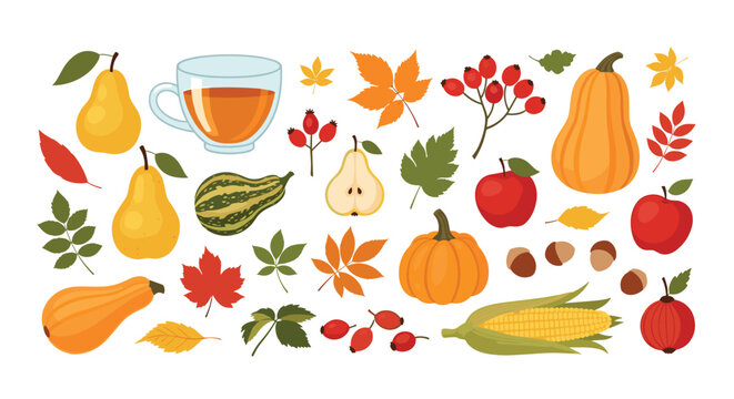 Beautiful collection of autumn-themed items including pumpkins, corn, pears, apples, colorful fallen leaves, berries, and a cup of tea.