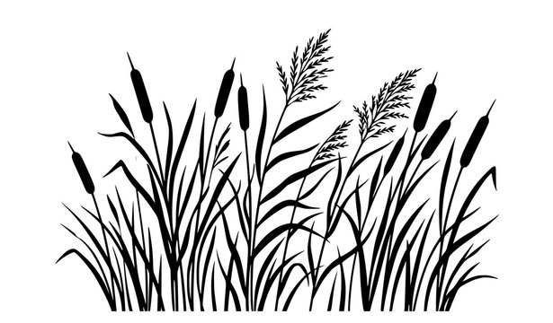 Black riverbank cattail and reed silhouette vector collection for natural landscape design