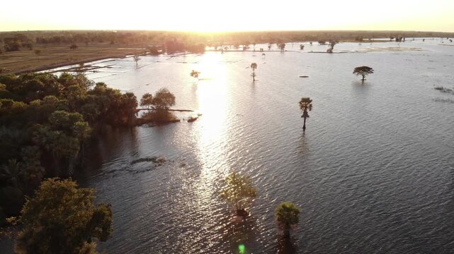 Big trees situated on a flooded swampy area during a hot day. Landscape of wetland conservation area in Buriram, Thailand.