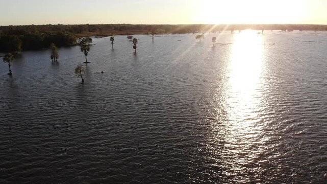 Big trees situated on a flooded swampy area during a hot day. Landscape of wetland conservation area in Buriram, Thailand.