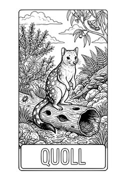Detailed Line Art Illustration of a Spotted Quoll on a Log, Coloring Page