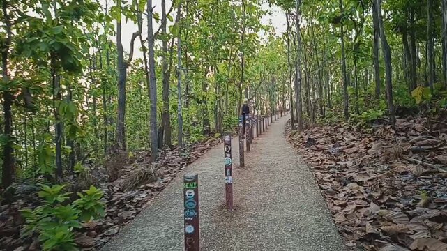 Exploring the Dramatic Cliffs of Pai Canyon in Mae Hong Son, Thailand.