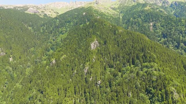 Altindere, Trabzon Province, Turkey. Sumela Monastery, terracotta rooftops and stone walls clinging to a sheer cliff face, aerial view above dense coniferous forest in Altindere Valley National Park.