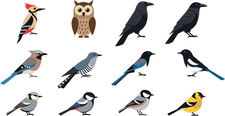 Colorful Bird Vector Collection With Owl Crow And Songbirds For Wildlife Nature Design Projects © MDNUR