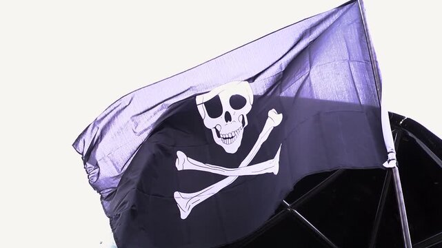 pirate skull and crossbones flag