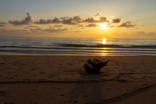 Sunrise and silhouette in morning