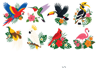 Fototapeta premium Exotic Tropical Birds and Flowers Vector Illustration Set, Cartoon Jungle Wildlife Clipart