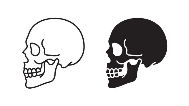 Human Skull Illustrations in Black and White for Medical and Conceptual Designs