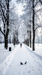 Obraz premium Snowy path with bare trees and a person walking