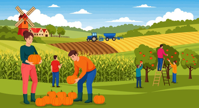Autumn harvest scene, pumpkin picking, farm illustration, rural landscape, vector graphics