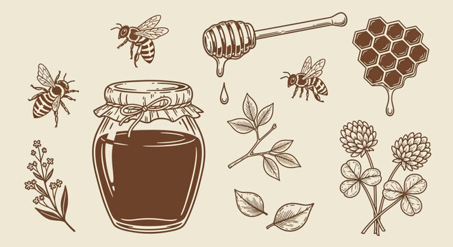 Honey, bee, floral, illustration set, brown, vintage, 12 elements, vector graphics