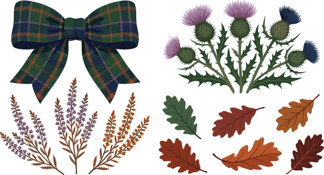 Scottish Highland Culture Vector Element Set Featuring Tartan Plaid Bow, Thistle Flowers, Purple Heather Herbs, and Autumn Oak Leaves Collection