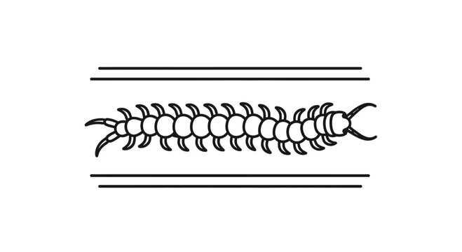 Stylized Centipede Illustration with Parallel Lines