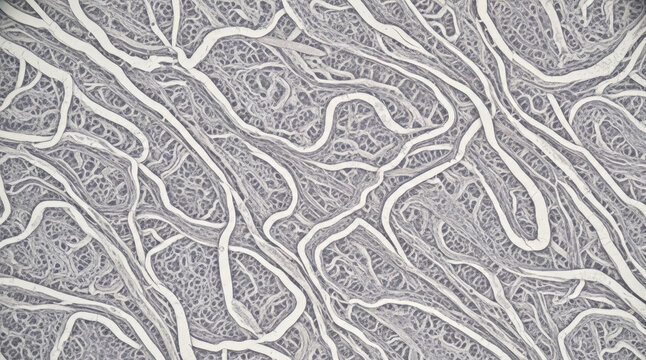 Intricate monochrome vascular network pattern veins texture leaf