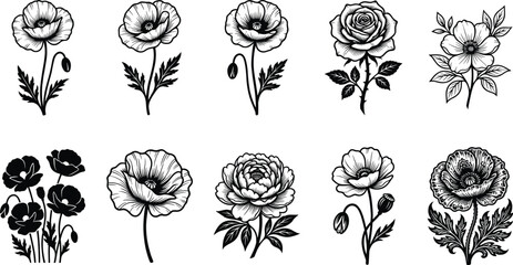 Obraz premium Detailed Black and White Floral Illustrations Featuring Roses Poppies and Peonies in Artistic Botanical Line Drawing Collection