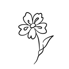 Obraz premium Hand Drawn Flower Branch